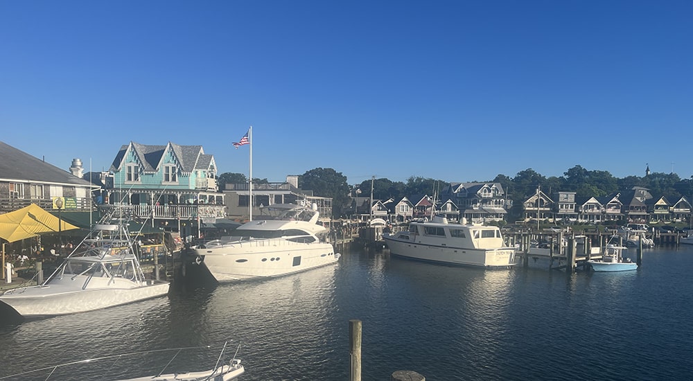 Feeling cross - The Martha's Vineyard Times