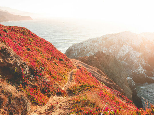 A view looking out over the hills of the Marin Headlands over the San Francisco Bay