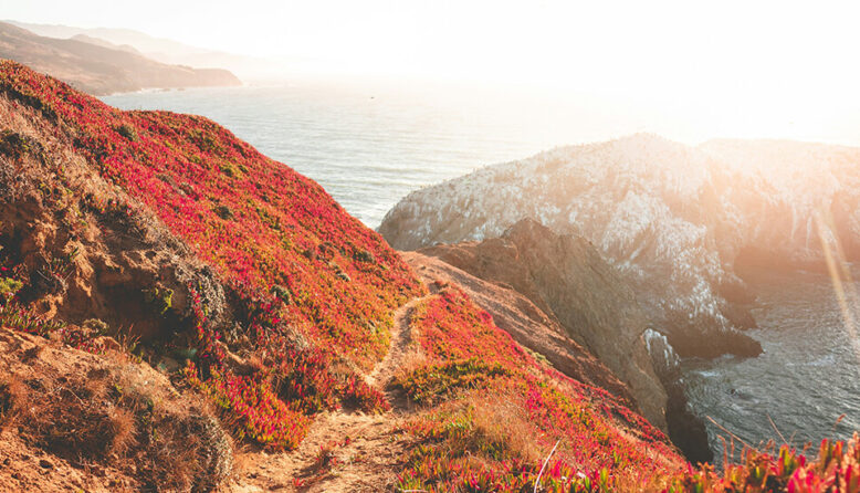 A view looking out over the hills of the Marin Headlands over the San Francisco Bay